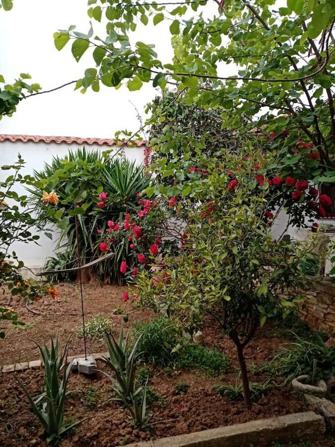 In Peania דירה Paianía